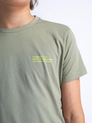 Petrol Industries Boys T-Shirt SS Sage Green | Freewear Boys T-Shirt SS - www.freewear.nl - Freewear