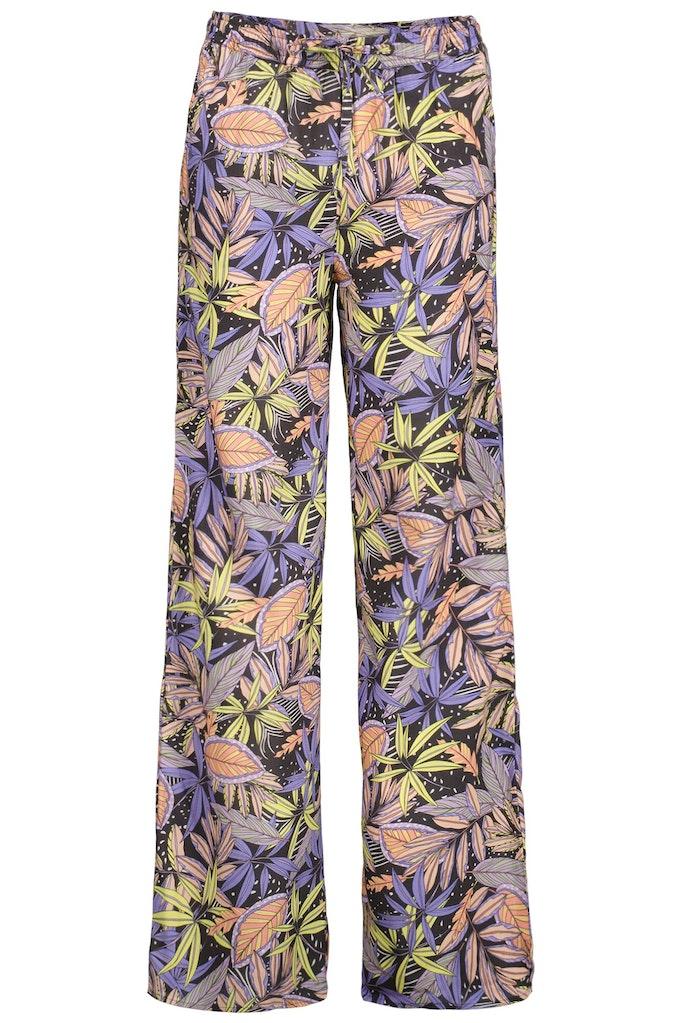 Paarse broek