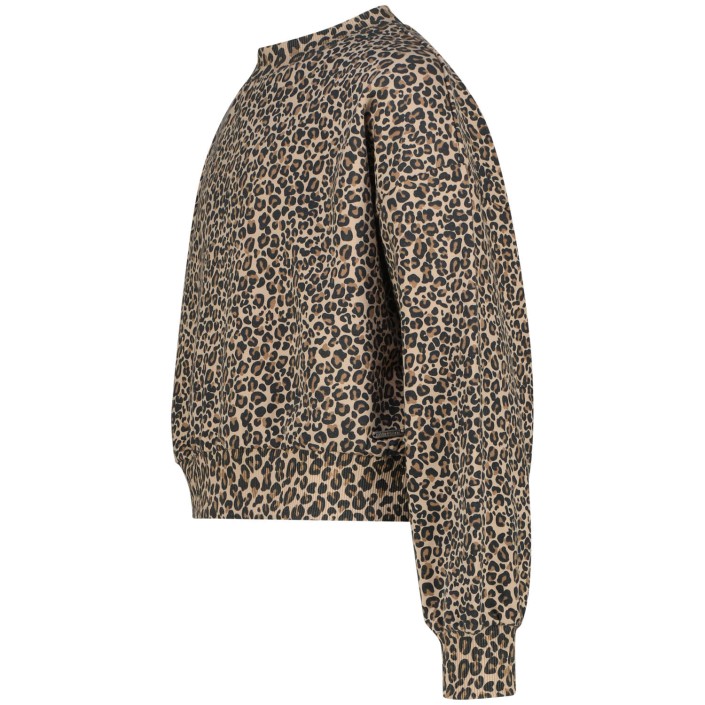 Raizzed Jela Sweater Hazel Brown | Freewear Jela Sweater - www.freewear.nl - Freewear