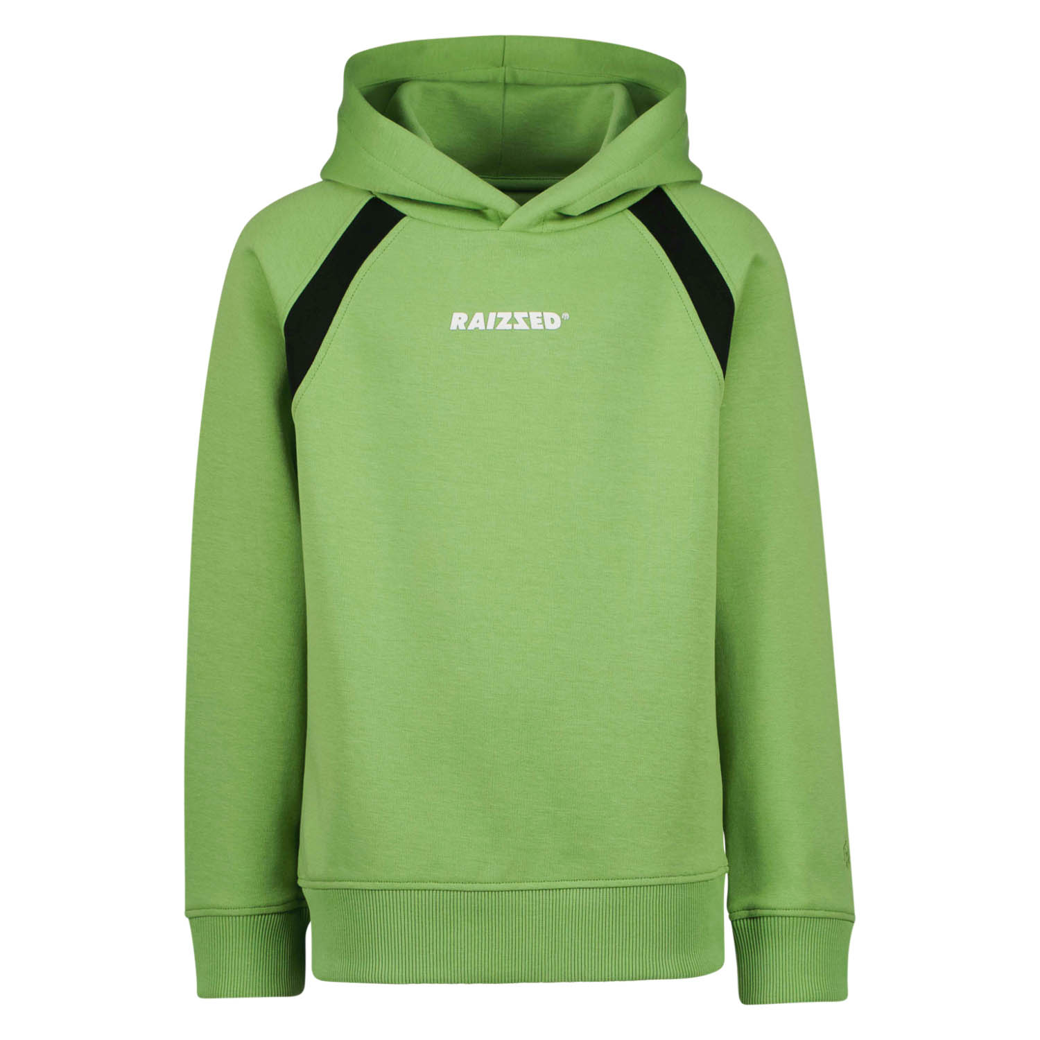 Raizzed WILLISTON Jongens Trui - Retro green - Maat 176