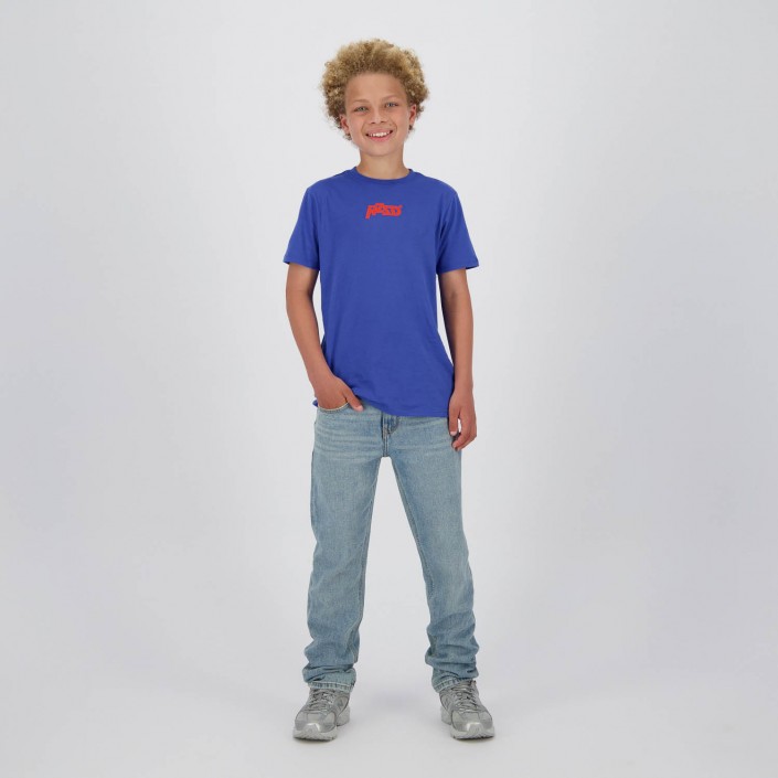 Raizzed Denver crafted Vintage Blue | Freewear Denver crafted - www.freewear.nl - Freewear