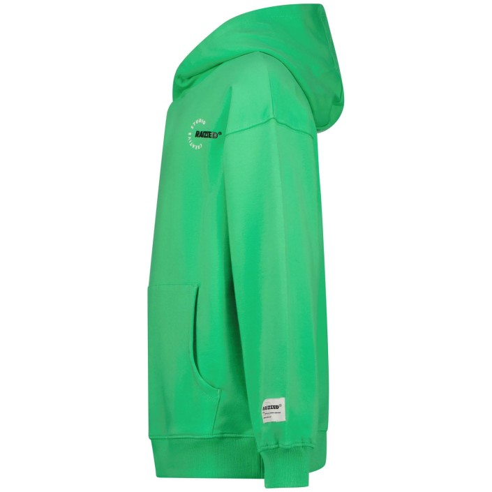 Raizzed Newport Sweater Irish fresh green | Freewear Newport Sweater - www.freewear.nl - Freewear