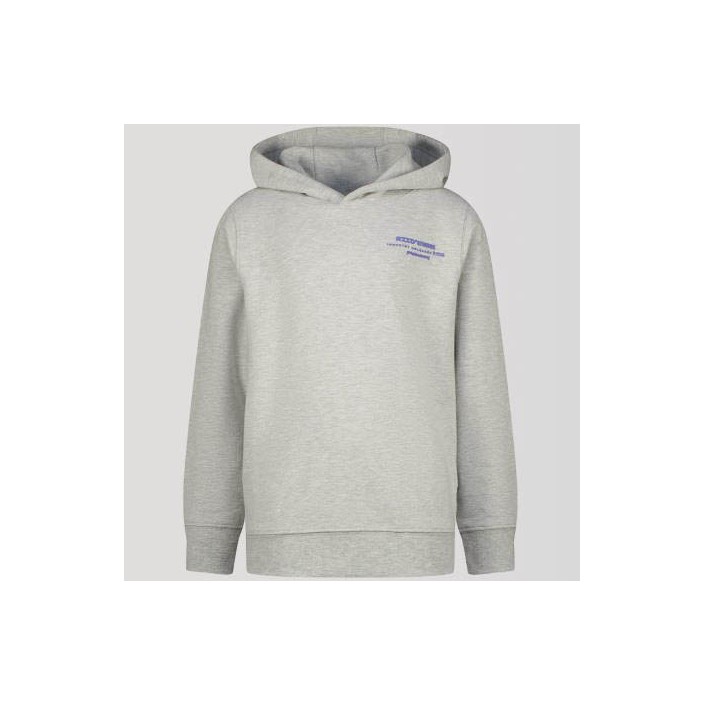Raizzed Navin Hoodie Light Grey Melee | Freewear Navin Hoodie - www.freewear.nl - Freewear