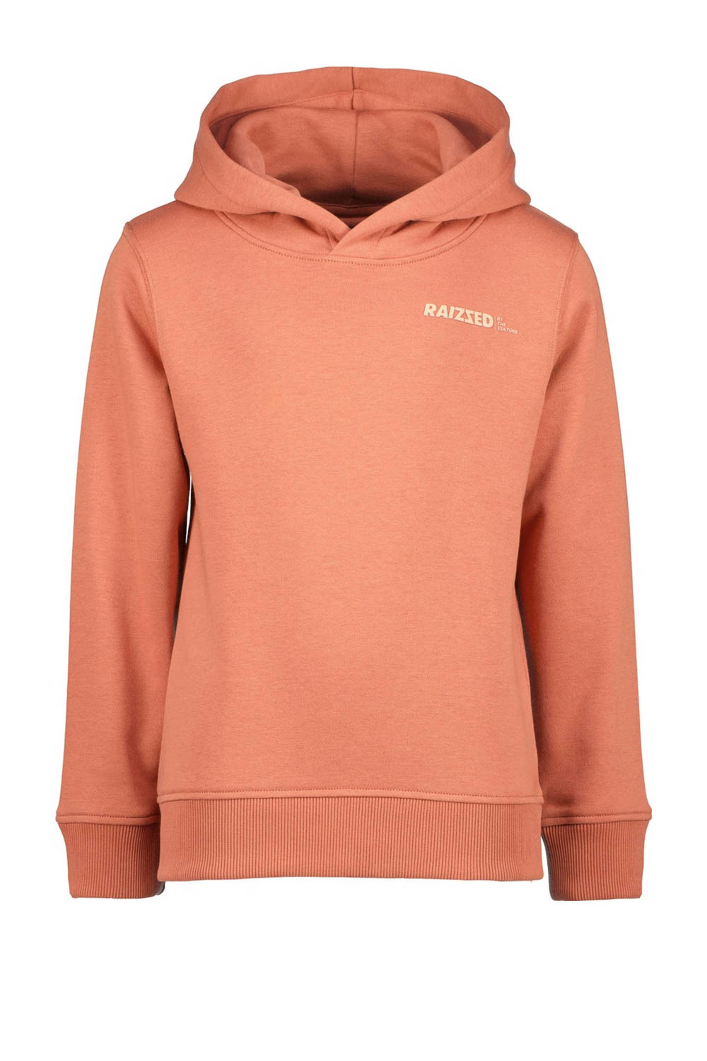 Raizzed Ki Newfield Hoodie