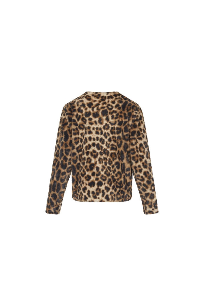 Sisters Point Gutas Jasje leo