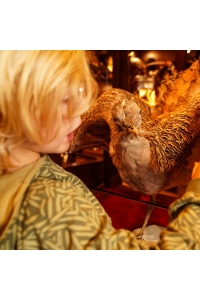 Koko Noko Ki Sweater with hood army green