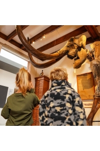 Koko Noko Ki Sweater dropped shoulder army green