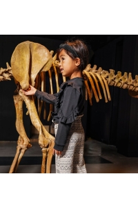 Koko Noko Ki Sweater crewneck faded black