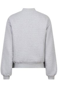 Lofty Manner Jacket Alvee grey