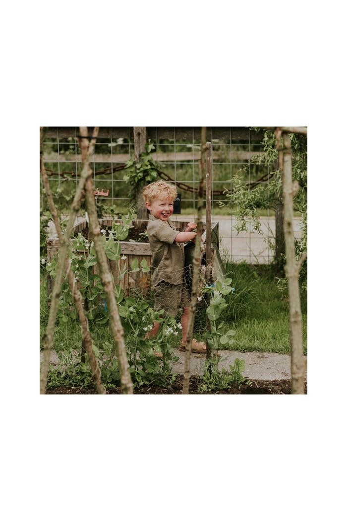 Koko Noko Ki Set blouse/short faded brown