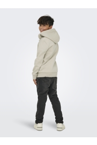 Only and Sons OSJCERES ZIP THR. HOODIE SWT NOOS silver lining