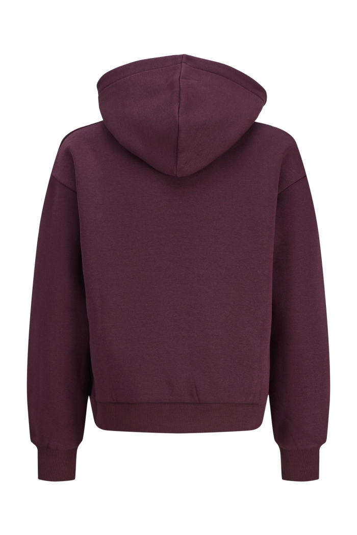 Jack and Jones JXSTUDIO VESTERBRO HOOD SWT NOOS GR: winetasting/bright white jjxx lo