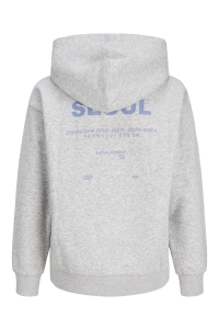Jack and Jones JXNELLY LS HOOD SWT LN GRL light grey melange/seoul