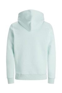 JJELOGO SWEAT HOOD 2 COL 20/21 NOOS bleached aqua/reg
