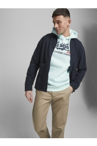 JJELOGO SWEAT HOOD 2 COL 20/21 NOOS bleached aqua/reg