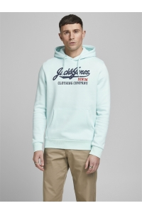 JJELOGO SWEAT HOOD 2 COL 20/21 NOOS bleached aqua/reg