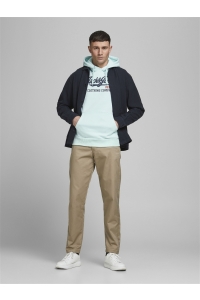 JJELOGO SWEAT HOOD 2 COL 20/21 NOOS bleached aqua/reg