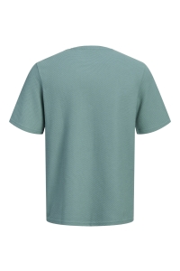 Jack and Jones JPRBLAFRANCO SS TEE CREW NECK LN sagebrush green
