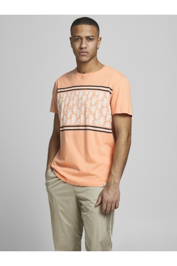 Jack and Jones  JORSUNNYS TEE SS CREW NECK