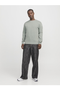 JJESTAR BASIC SWEAT CREW NECK NOOS iceberg green