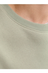 JJESTAR BASIC SWEAT CREW NECK NOOS seagrass