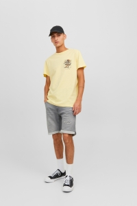 JACK&JONES INTELLIGENCE JJIRICK JJICON SHORTS GE 380 I.K SN grey denim