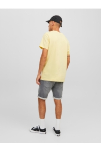 JACK&JONES INTELLIGENCE JJIRICK JJICON SHORTS GE 380 I.K SN grey denim