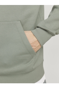 JJESTAR JJ SWEAT HOOD NOOS iceberg green
