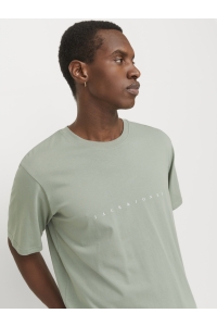 JJESTAR JJ TEE SS NOOS iceberg green