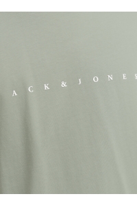 JJESTAR JJ TEE SS NOOS iceberg green