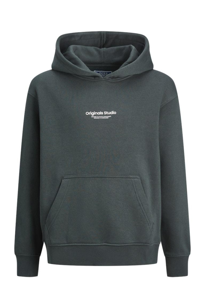 jack en jones boys JORVESTERBRO SWEAT HOOD NOOS JNR forest river/loose