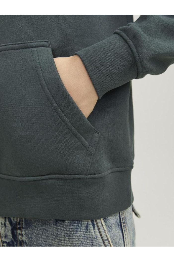 jack en jones boys JORVESTERBRO SWEAT HOOD NOOS JNR forest river/loose