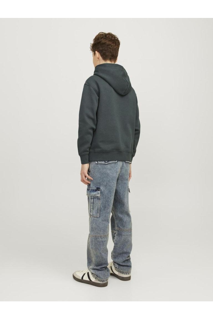 jack en jones boys JORVESTERBRO SWEAT HOOD NOOS JNR forest river/loose