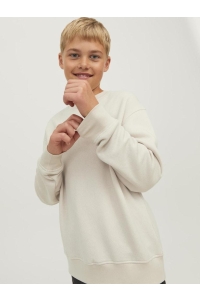 jack en jones boys JORVESTERBRO SWEAT CREW NECK NOOS J: moonbeam/loose
