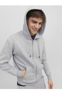 JJEBRADLEY SWEAT ZIP HOOD NOOS light grey melange