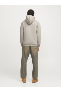 JJEBRADLEY SWEAT ZIP HOOD NOOS moonbeam