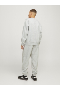 JJEURBAN EDGE SWEAT CREW NECK NOOS white melange