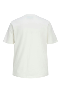 JACK&JONES ORIGINALS JXMERLE REG SS TEE JRS vanilla ice/green new york