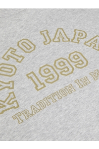 Jack and Jones JXMERLE RLX SHORT LS CREW SWT LN light grey melange/kyoto japan