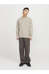 JACK%JONES PREMIUM JPRBLACHAD BRANDING SWEAT CREW NECK: silver lining