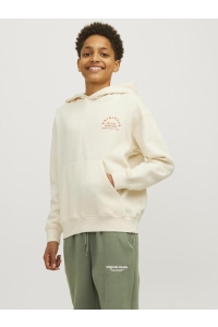jack en jones boys JORBROOKLYN BACK SWEAT HOOD JNR buttercream/volume