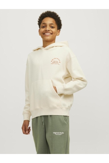 Jack and Jones boys JORBROOKLYN BACK SWEAT HOOD JNR