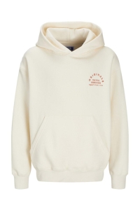 jack en jones boys JORBROOKLYN BACK SWEAT HOOD JNR buttercream/volume