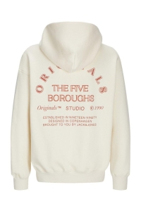 jack en jones boys JORBROOKLYN BACK SWEAT HOOD JNR buttercream/volume