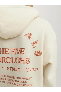 jack en jones boys JORBROOKLYN BACK SWEAT HOOD JNR buttercream/volume