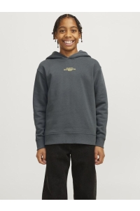 jack en jones boys JCOALPHA MOUNTAIN PRINT SWEAT HOOD : urban chic