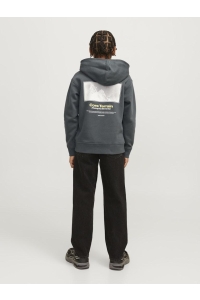 jack en jones boys JCOALPHA MOUNTAIN PRINT SWEAT HOOD : urban chic
