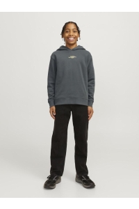 jack en jones boys JCOALPHA MOUNTAIN PRINT SWEAT HOOD : urban chic