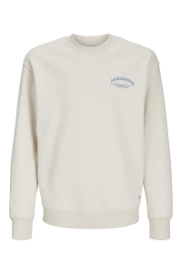 jack en jones boys JJEBRANDES BACKP RELAXED SWEAT C.N : moonbeam