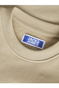 jack en jones boys JJEBRANDES BACKP RELAXED SWEAT C.N : coriander